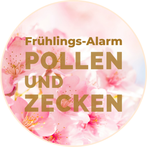 Info-Testtage 03-25