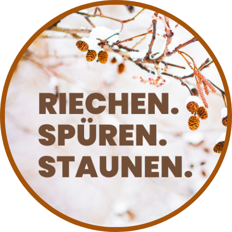 Öltreffen - Einführung in die Welt der ätherischen Öle